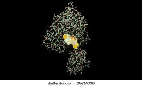 60 Luciferase Images, Stock Photos, and Vectors | Shutterstock