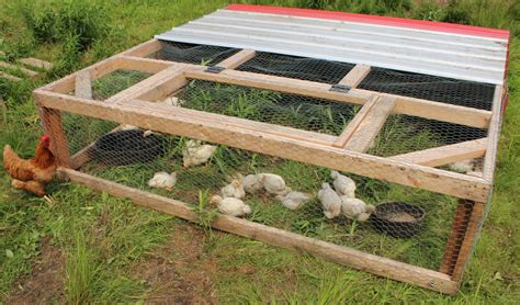 DIY Chicken Tractor Plans - Natural Living Homestead