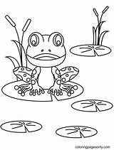 Coloring Pages Of Ponds sketch template