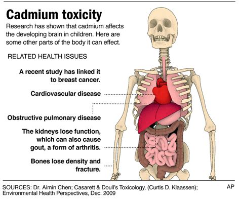 Chinese kids' jewelry makers say toxic Cadmium cuts costs, as U.S. stores yank imports ...