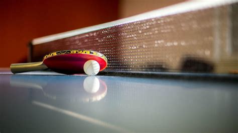 5 Best Table Tennis Rackets That You Can Buy Online | Playo