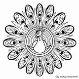 Peacock Mandala Coloring Pages  Free & Printable sketch template