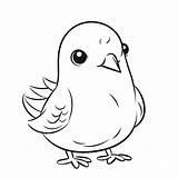 Cute Bird Coloring Pages For Kids New Kawaii Outline Sketch  sketch template