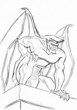 Gargoyle Drawing At GetDrawings  Free Download sketch template
