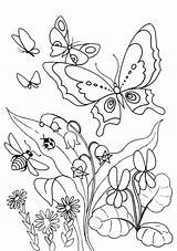 Kids Coloring Painting Pages sketch template