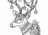 Reindeer Coloring Pages Printable sketch template