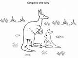 Kangaroo And Baby Joey Coloring Page  NetArt sketch template