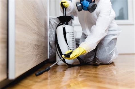 A Guide to Best Pest Control Services in Sydney