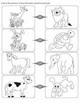 Opposite Coloring Pages For Preschool sketch template