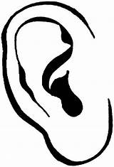Ears Coloring Pictures sketch template