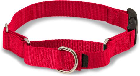 Martingale Soft Nylon Dog Collar With Quick Snap Buckle