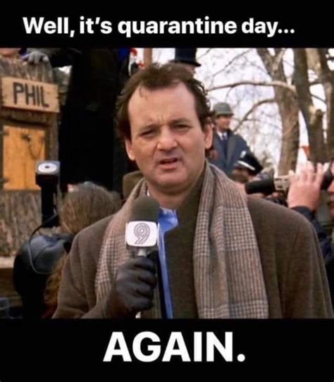 groundhog day | Quarantined Memes | Know Your Meme