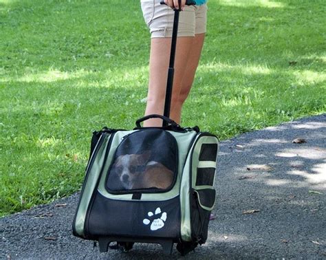 Dog Travel Bag: Choosing One That's Right for The Both of You - Dog Blog