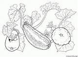 Dibujo Para Colorear  Verduras de La Huerta sketch template