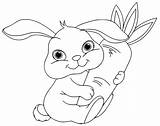 Bunny Coloring Pages Free Printable sketch template