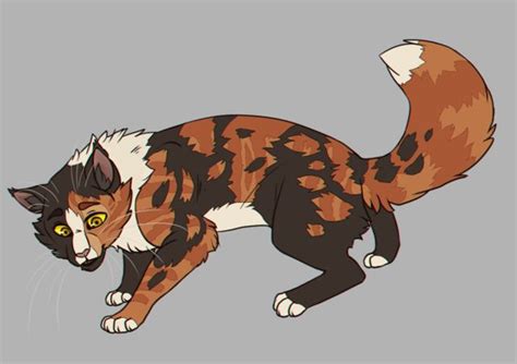 Spottedleaf | Warrior cats art, Warrior cat drawings, Warrior cats