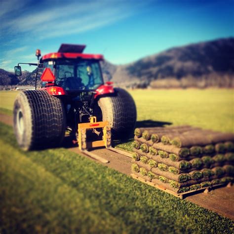 Come follow us on Instagram Sod Grass, Grass For Sale, Western Canada, Top Soil, Farm Equipment ...