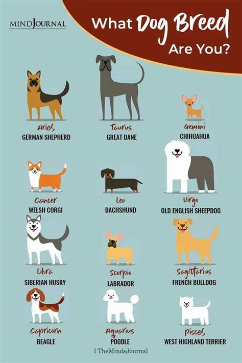 Discover Your Canine Zodiac Sign