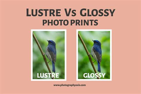 Lustre Vs Glossy- Which is Best for Photo Prints? - PhotographyAxis