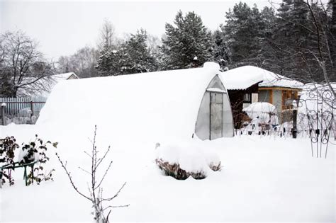 9 Best Greenhouses for Cold Climates