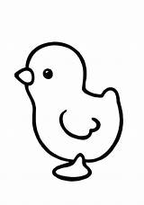 Baby Chick Coloring Page sketch template