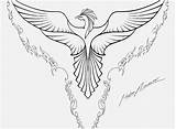 Phoenix Tattoo Coloring Pages Sketch Page sketch template