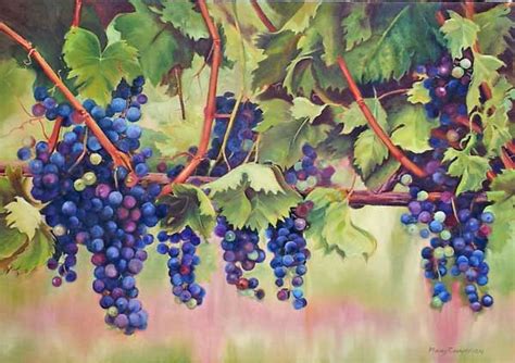 Grape Vine Painting at PaintingValley.com | Explore collection of Grape Vine Painting