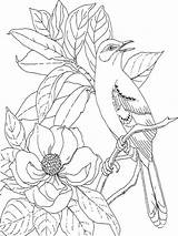 Magnolia Coloring Pages Download And Print sketch template