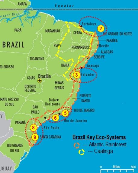 Brazil, Best Beaches, Sea & Sun - Unique Destinations (South America) Ltda