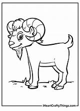 Printable Goat Coloring Pages sketch template
