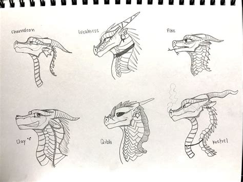 How To Draw Dragons From Wings Of Fire - Drawing.rjuuc.edu.np