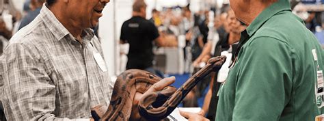 How to Shop for Animals at a Reptile Expo – IMPERIAL REPTILES & EXOTICS