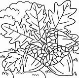 Thanksgiving Acorn And Autumn Leaves Coloring Page 8209023 Vector Art  sketch template