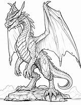 Detailed Dragon Coloring Pages sketch template