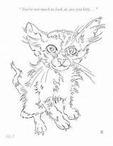 Refugee By Alan Gratz Coloring Book Page  Isabels Kitten Get The sketch template