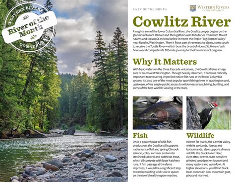 River of the Month - Cowlitz River by Western Rivers Conservancy - Issuu