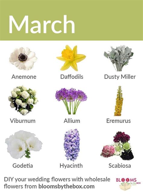 Flowers That Bloom In March And April - Image to u