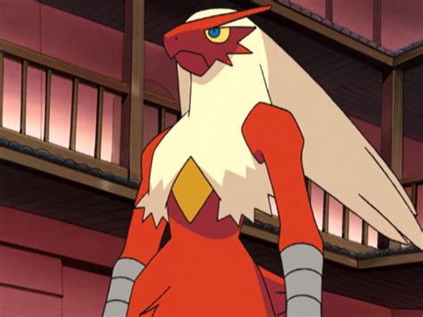 May's Blaziken - Bulbapedia, the community-driven Pokémon encyclopedia