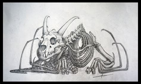 Dragon Skeleton by deviantetienne on DeviantArt