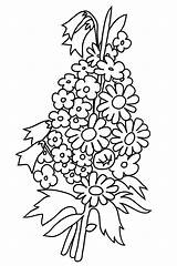 Flower Coloring Pages sketch template