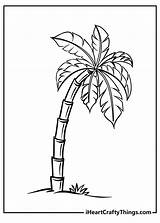 Palm Tree Leaves Coloring Pages sketch template