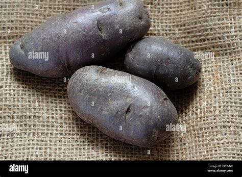 black skinned potatoes on old sack cloth Stock Photo - Alamy