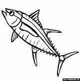 Yellowfin Tuna Online Coloring Page sketch template
