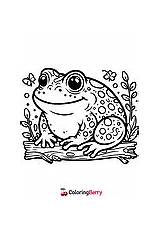 35 Toads Coloring Pages Free PDF Printables sketch template