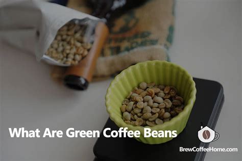 What Are Green Coffee Beans - Taste, Usage And Benefits