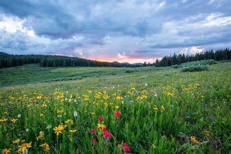 What Is Ostara and How Do You Celebrate It? | The Pagan Grimoire