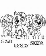 Kleurplaat Paw Patrol Zuma sketch template