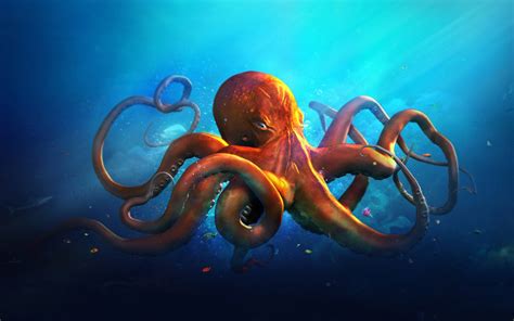 Vibrant Octopus HD Wallpaper: Dive into Ocean Beauty