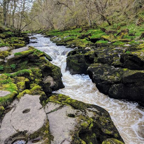 The Strid, Bolton Abbey, Skipton. Supposedly the most dangerous stretch ...