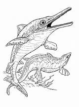 Ichthyosaur Coloring Page Pages sketch template